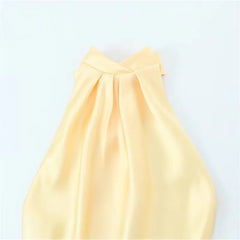 Satin Halter Long Dress – Backless Summer Midi